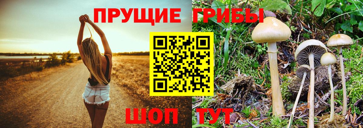 Псилоцибиновые грибы мухоморы  Вход с VPN  Псилоцибиновые грибы мицелий  Шебекино 